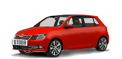 Плановое ТО Fabia NJ